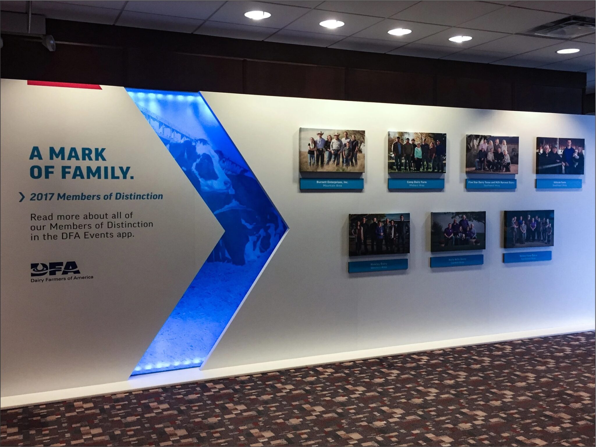 Exhibition Displays - 3